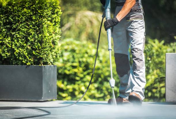 Best Roof Washing  in Craig Beach, OH